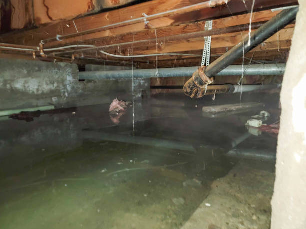 Best Ceiling water damage repair  in Pickens, MS