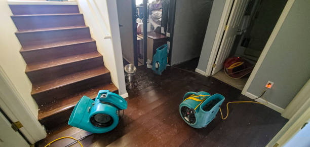 Best Water damage cleanup near me  in Pickens, MS