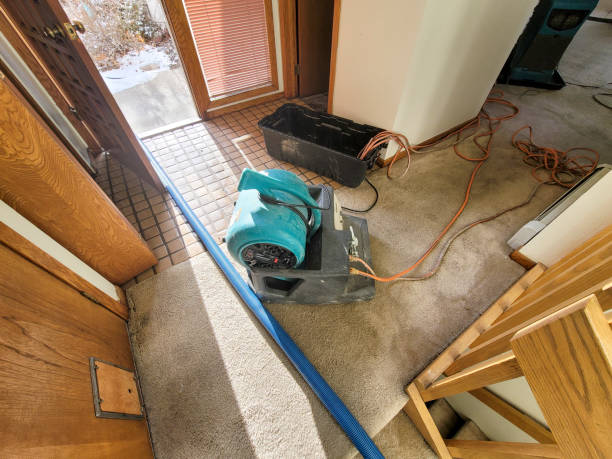 Best Water damage contractors near me  in Pickens, MS