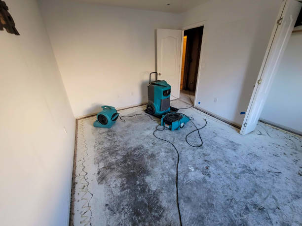  Pickens, MS Water damage restoration Pros