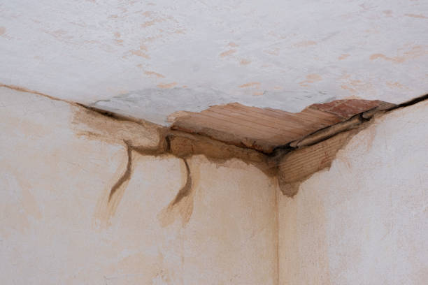 Best Fire Damage Restoration  in Pickens, MS