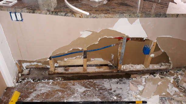 Best Ceiling water damage repair  in Pickens, MS