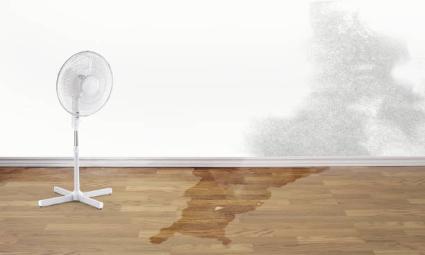 Best Water damage restoration near me  in Pickens, MS