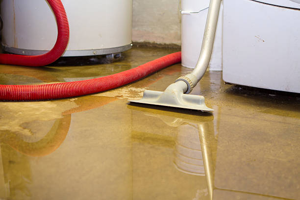 Best Mold removal after water damage  in Pickens, MS